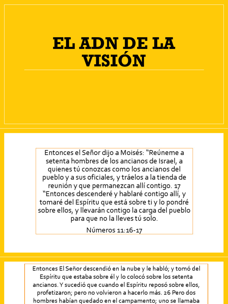 1 El Adn de La Vision | PDF