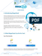 MegaCloud User Guide