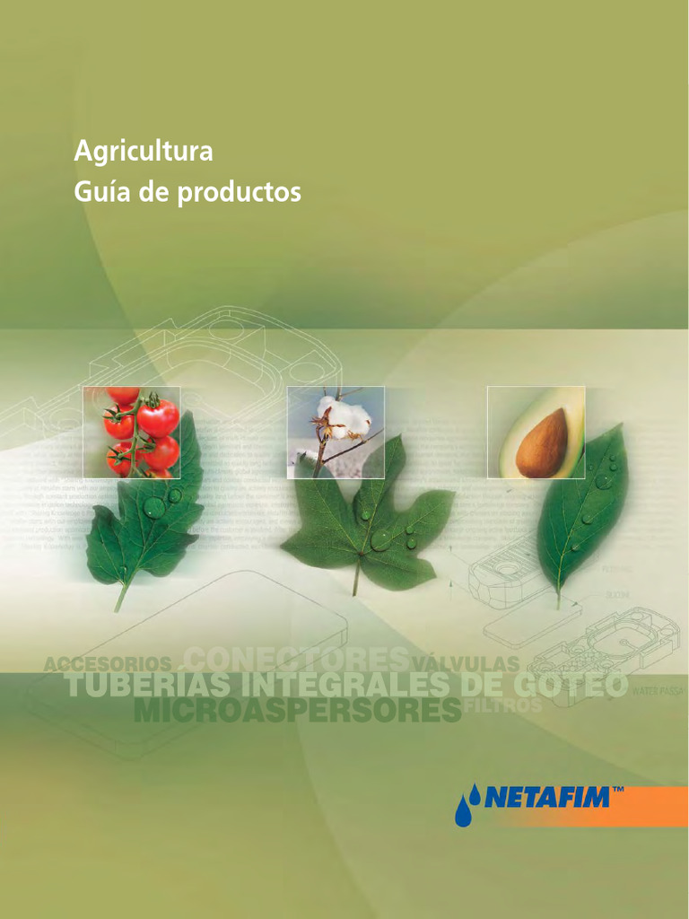 4771 CP Extra File Ea6e1 | PDF