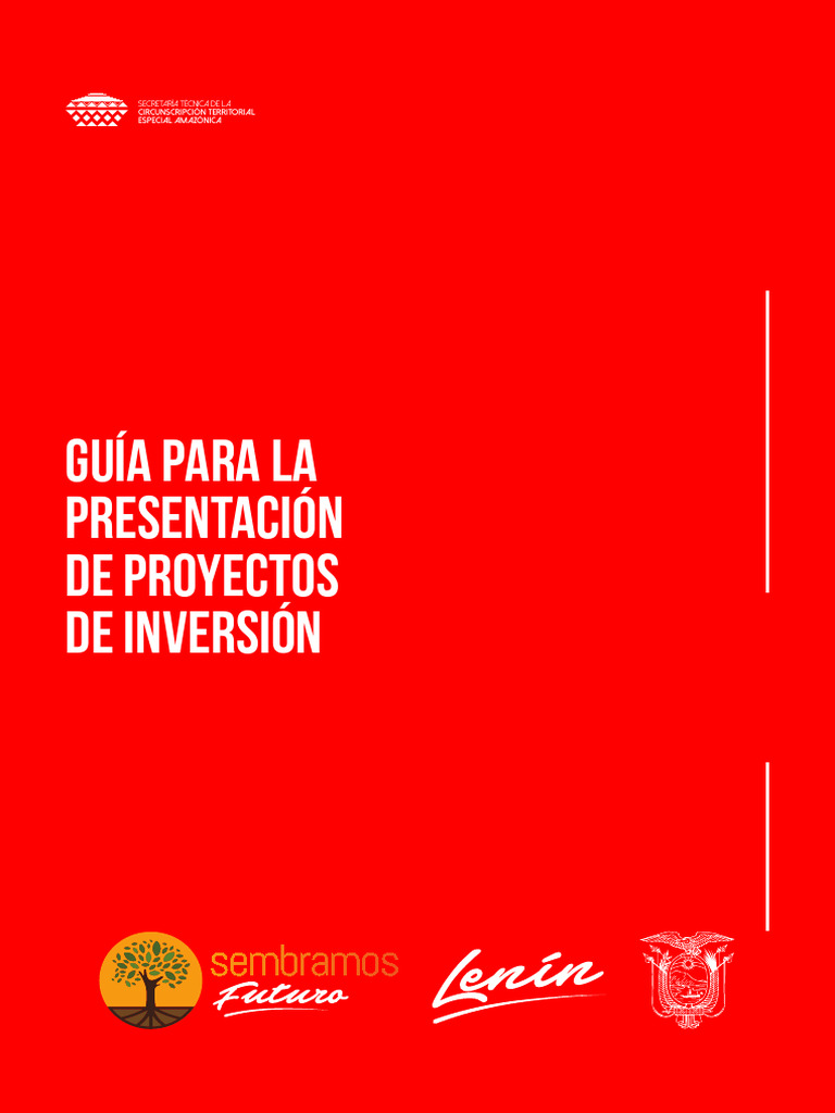 Guia Proyectos ST Ctea | PDF