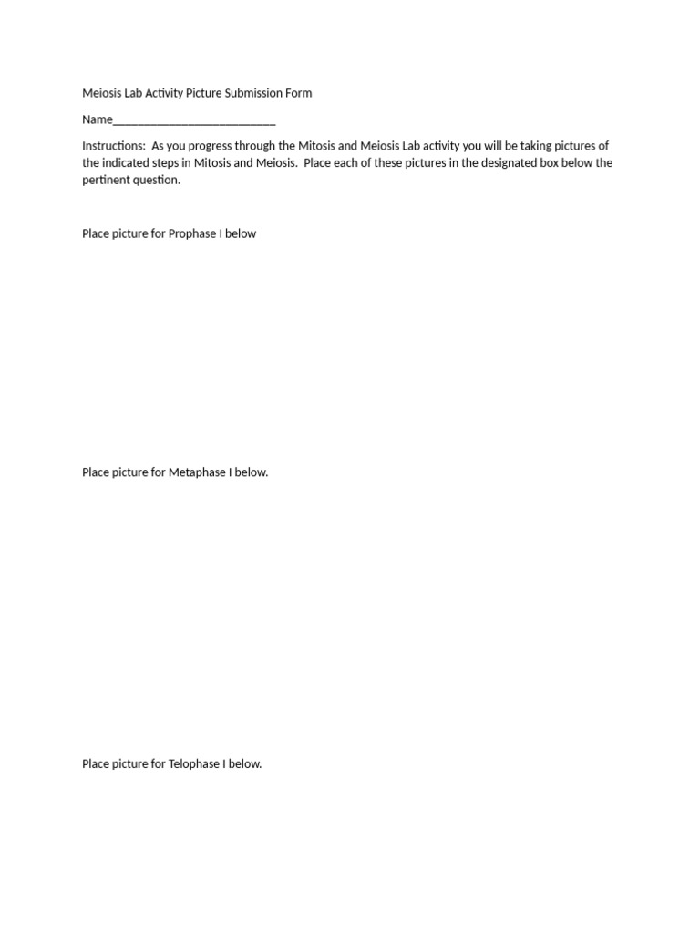 Meiosis Lab Activity Picture Submission Form | PDF