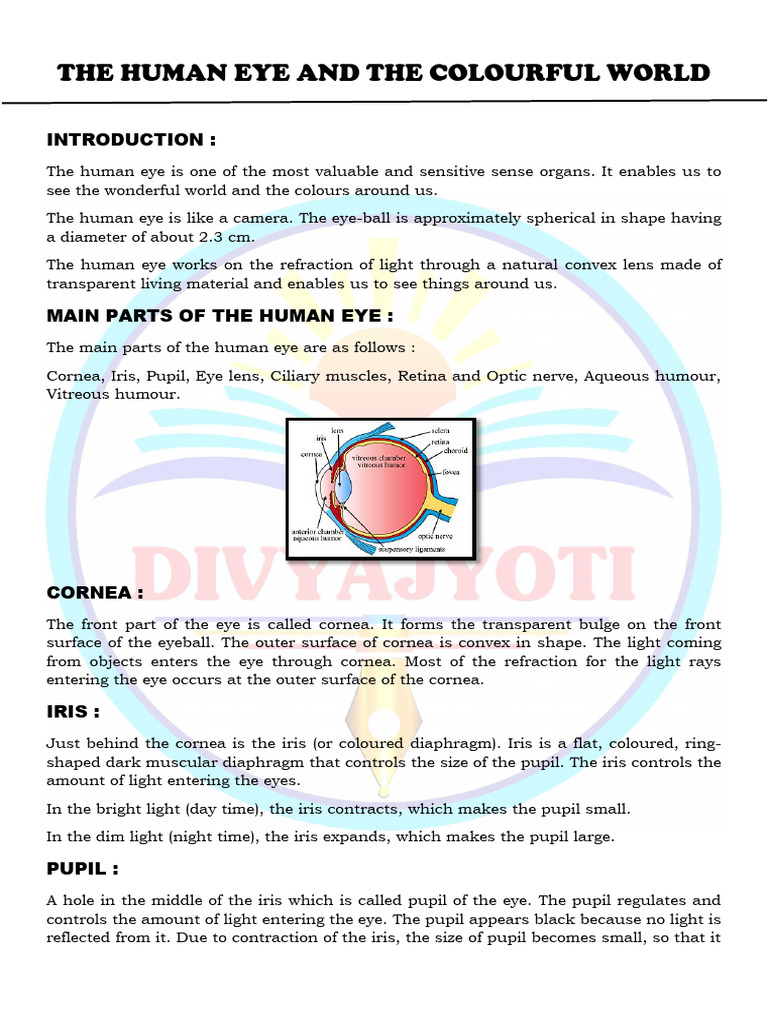 The Human Eye and The Colourful World | PDF
