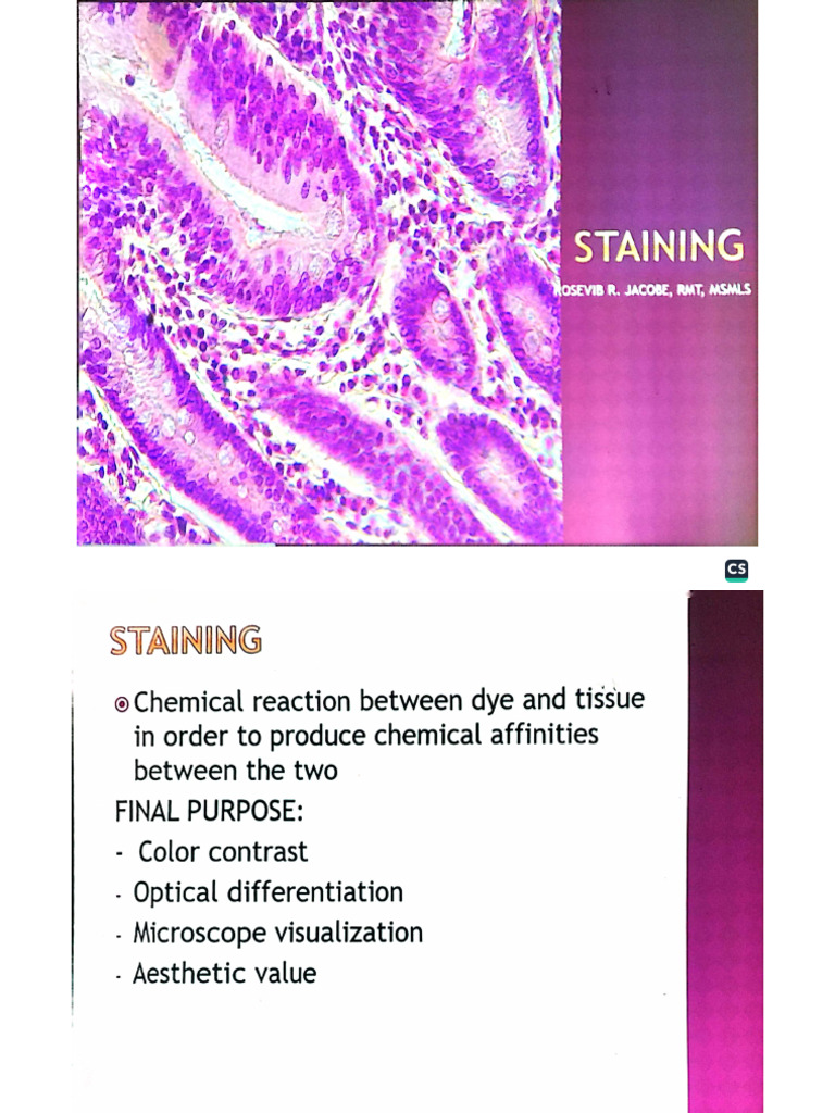 Staining pdf
