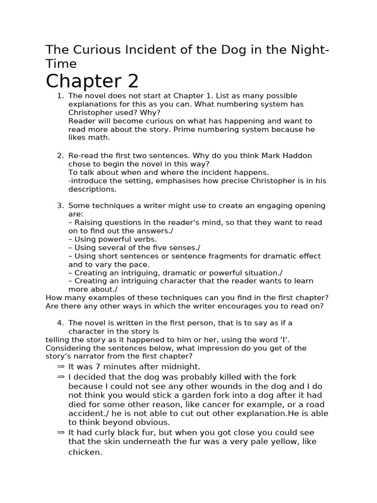 Curious Incident Chapter Questions | PDF