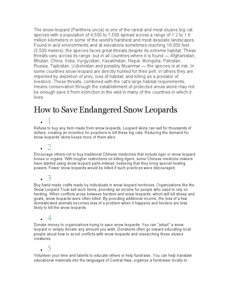 How to Save Endangered Snow Leopards | Leopard | Felids