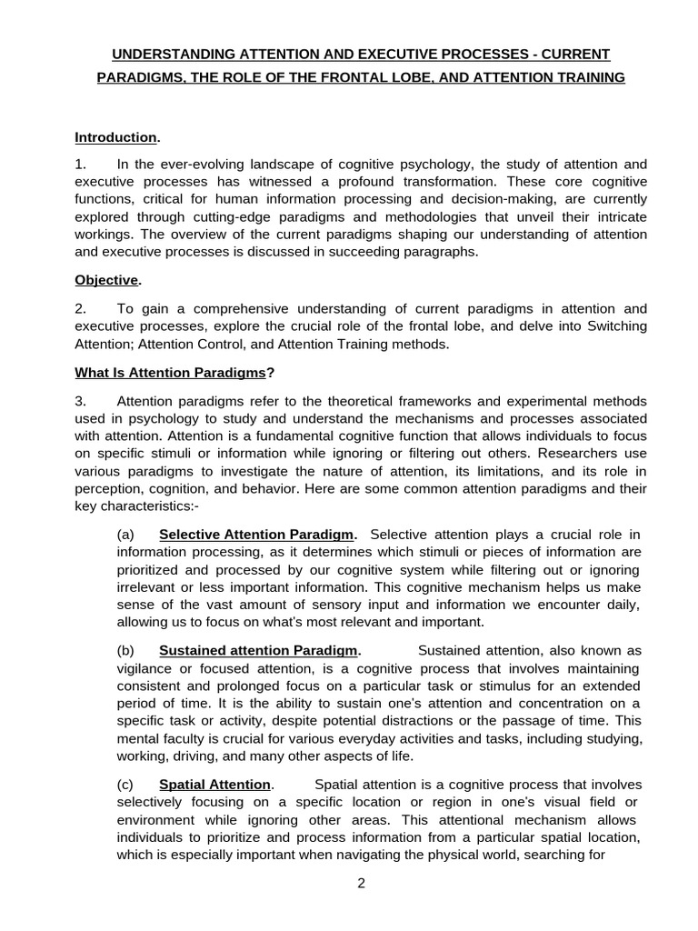 Attention and Executive Functioning Insights | PDF | Executive ...