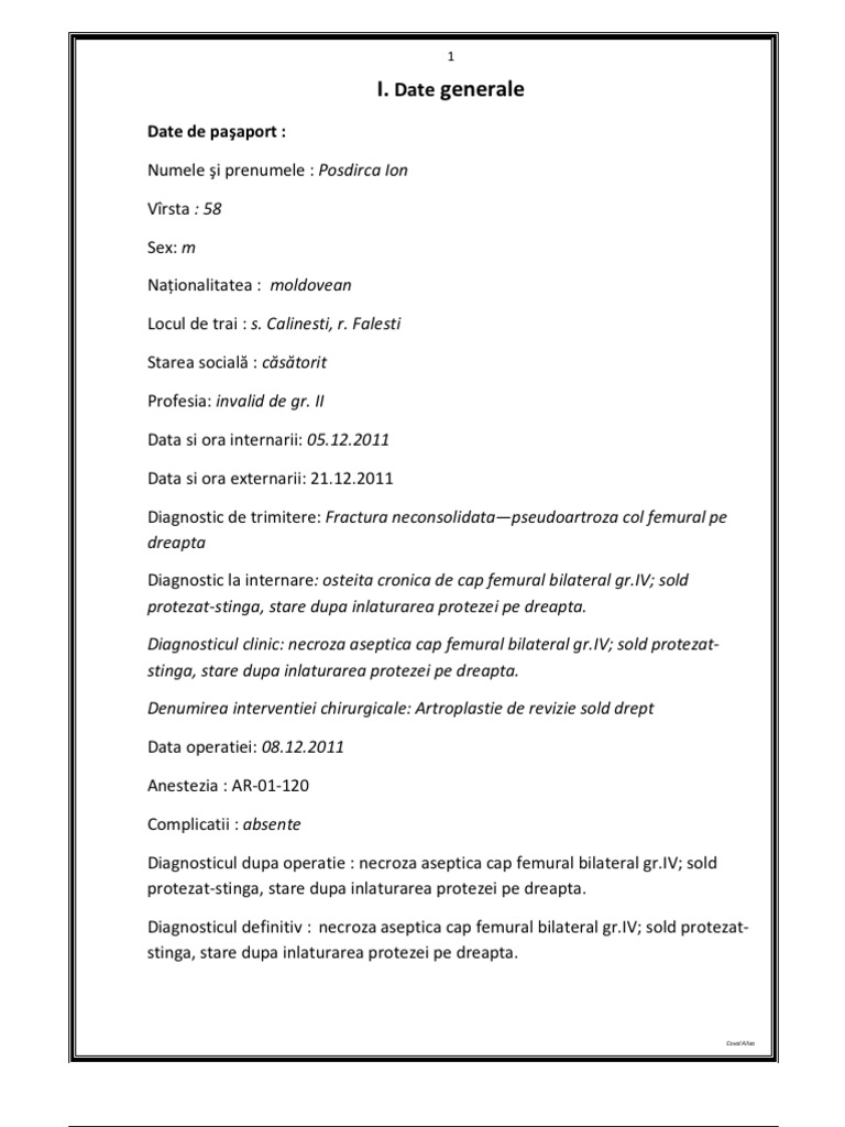 Fisa Exemplu | PDF