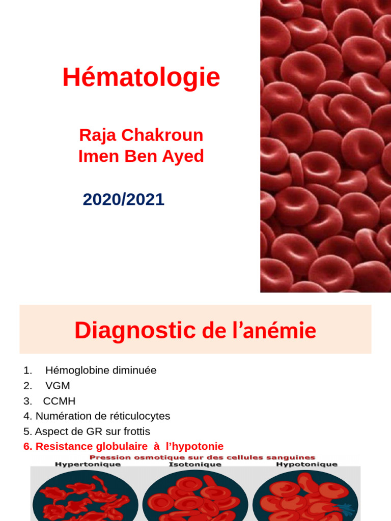 Resistance Osmotique | PDF