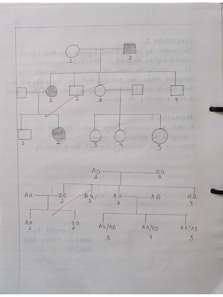 Experiment 11 | PDF