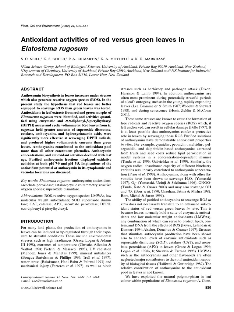 Elatostema Rugosum: Antioxidant Activities of Red Versus Green Leaves ...