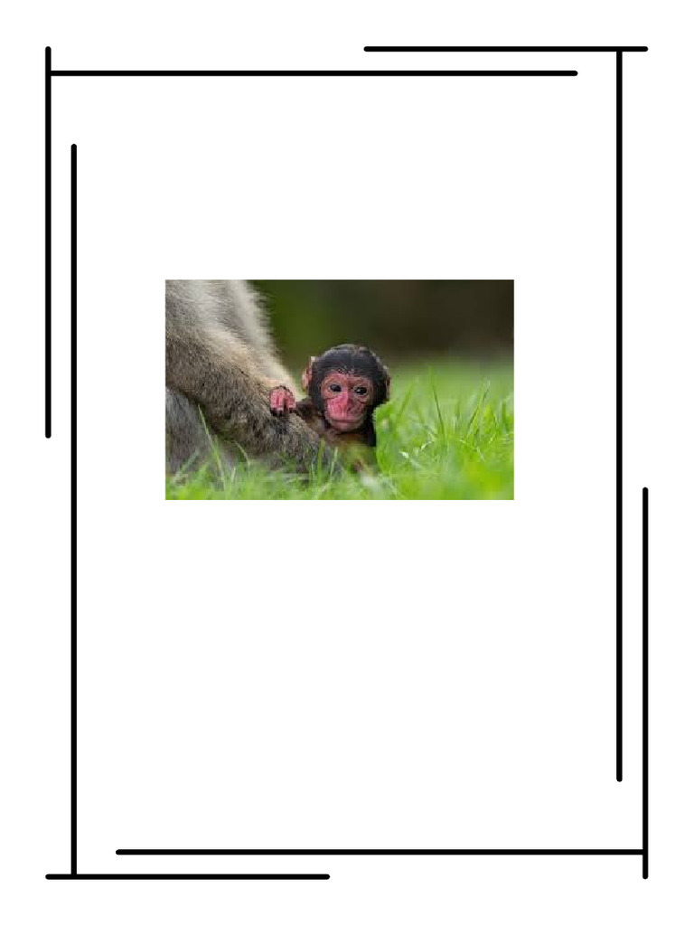 Black minimalist lined blank document pdf