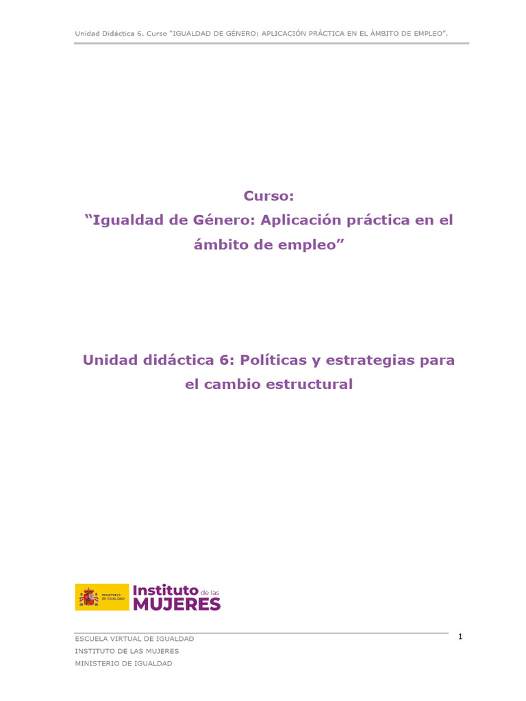 Tema 6 Curso Igualdad de Genero | PDF