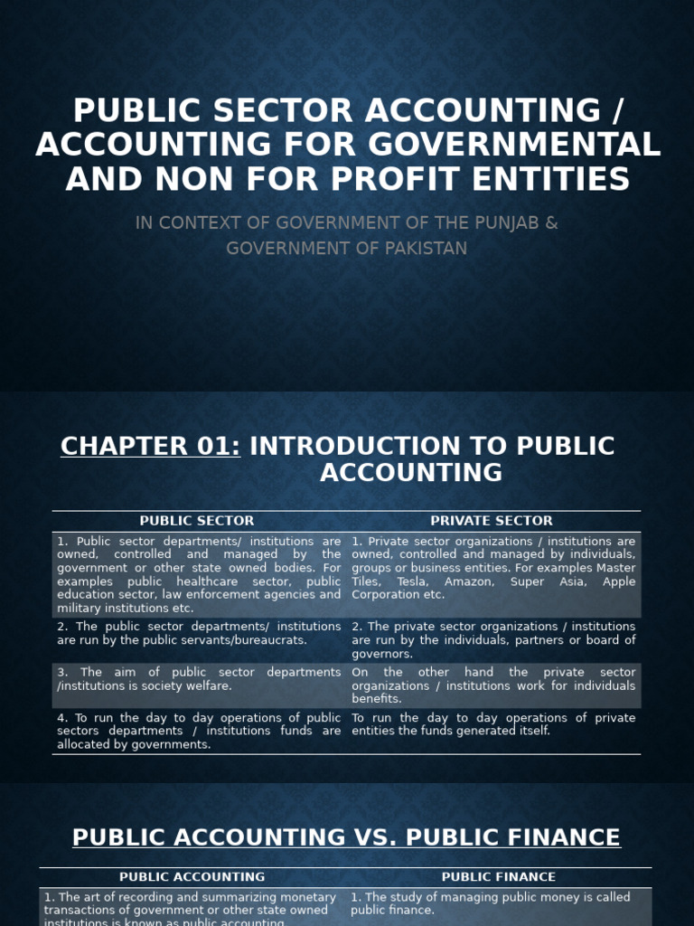 Introduction To Public Accounting | PDF