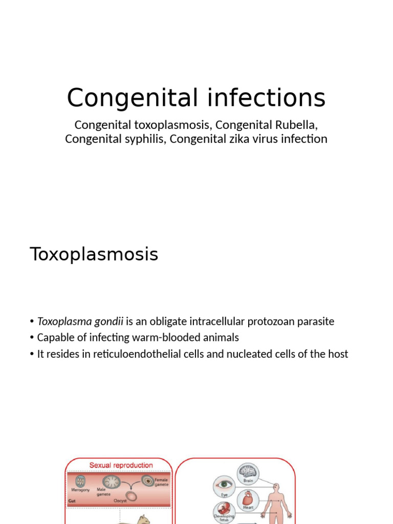 Congenital Infections 2 | PDF