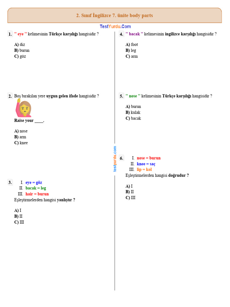 2 Sinif Ingilizce 7 Unite Body Parts Pdf