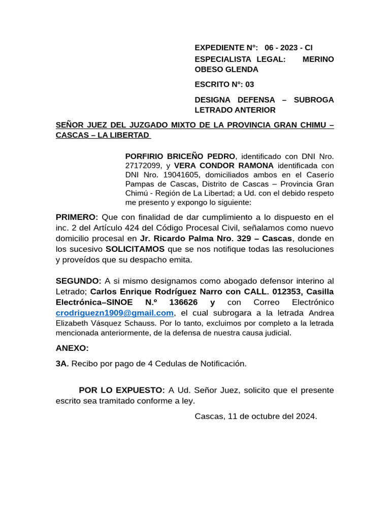 Designa defensa pdf