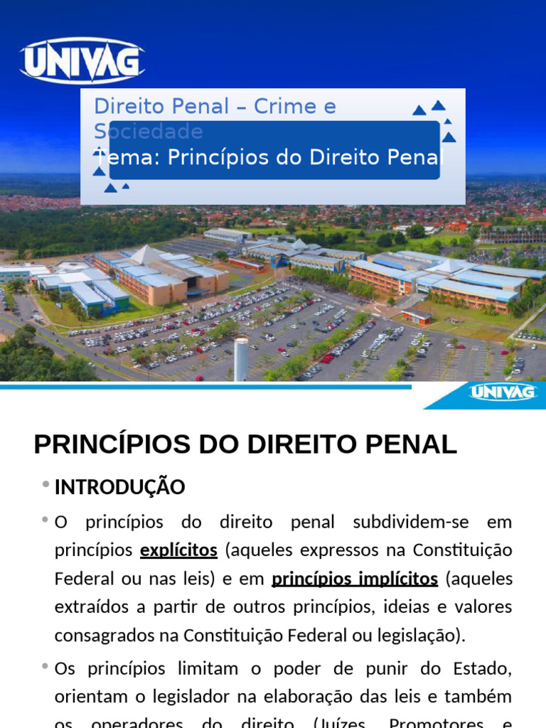 Aula 02 Penal I Princípios Do Direito Penal Pdf