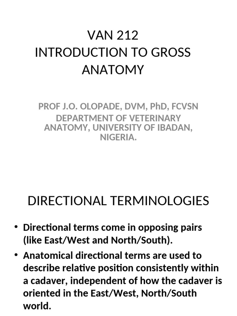 VAN 212 Part 1 | PDF