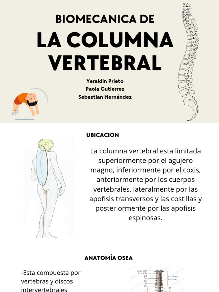 Biomecanica de La Columna Vertebral | PDF