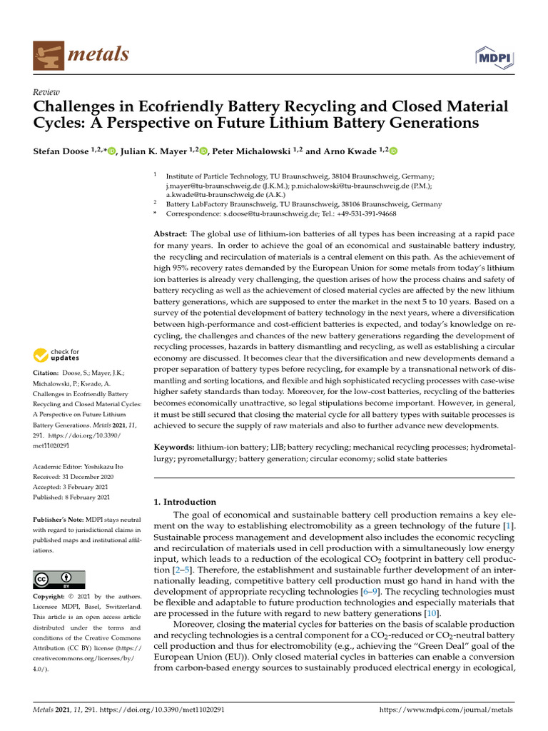 A Perspective On Future Lithium Battery Generations | PDF