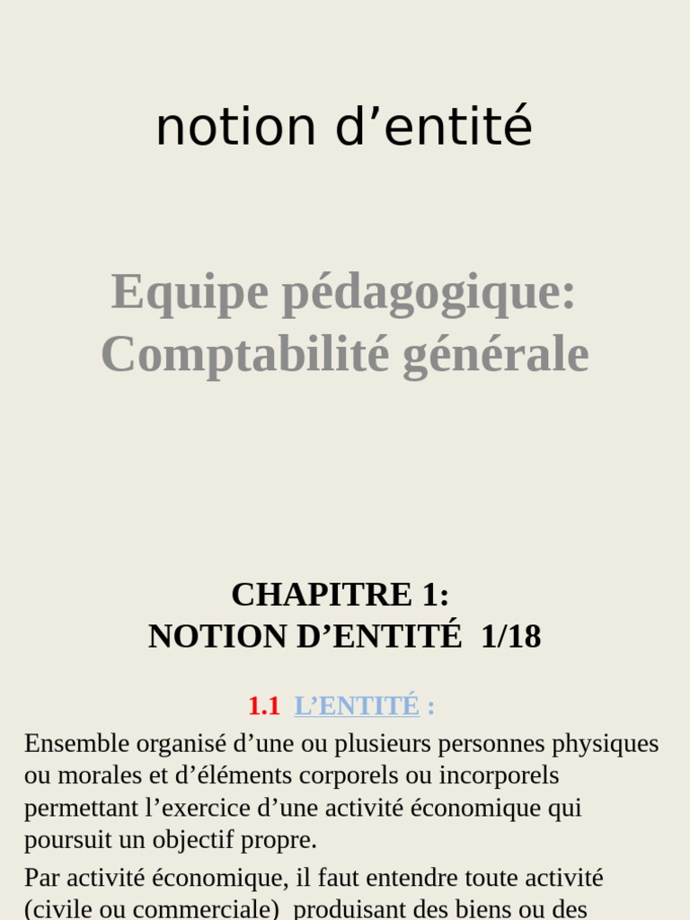 Chapitre 1 - Notion D'entite | PDF