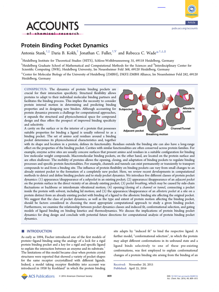 Stank Et Al 2016 Protein Binding Pocket Dynamics | PDF