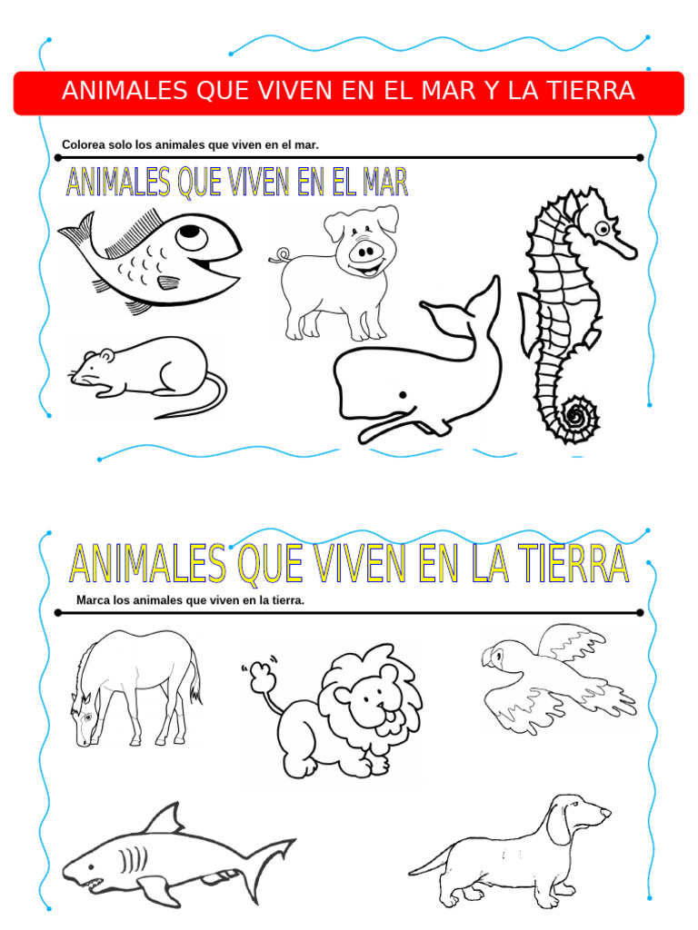 Animales Que Viven en El Mar y La Tierra | PDF | Hogar, jardinería y ...