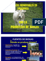 Diapositivas Manejo