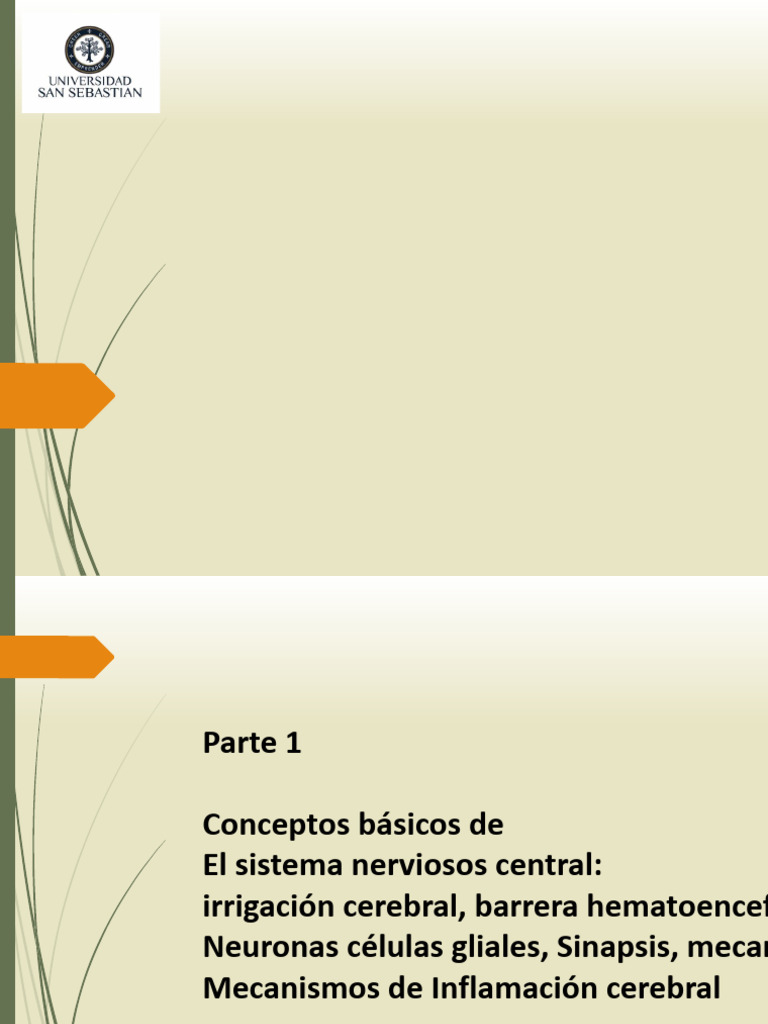 Clase NK2022 A | PDF | Sinapsis | Sistema nervioso