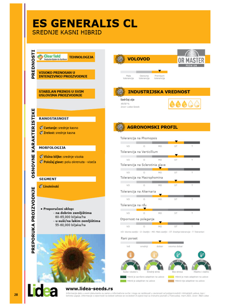 Lidea Es Generalis CL | PDF