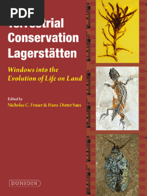 Terrestrial Conservation Lagerstätten | PDF