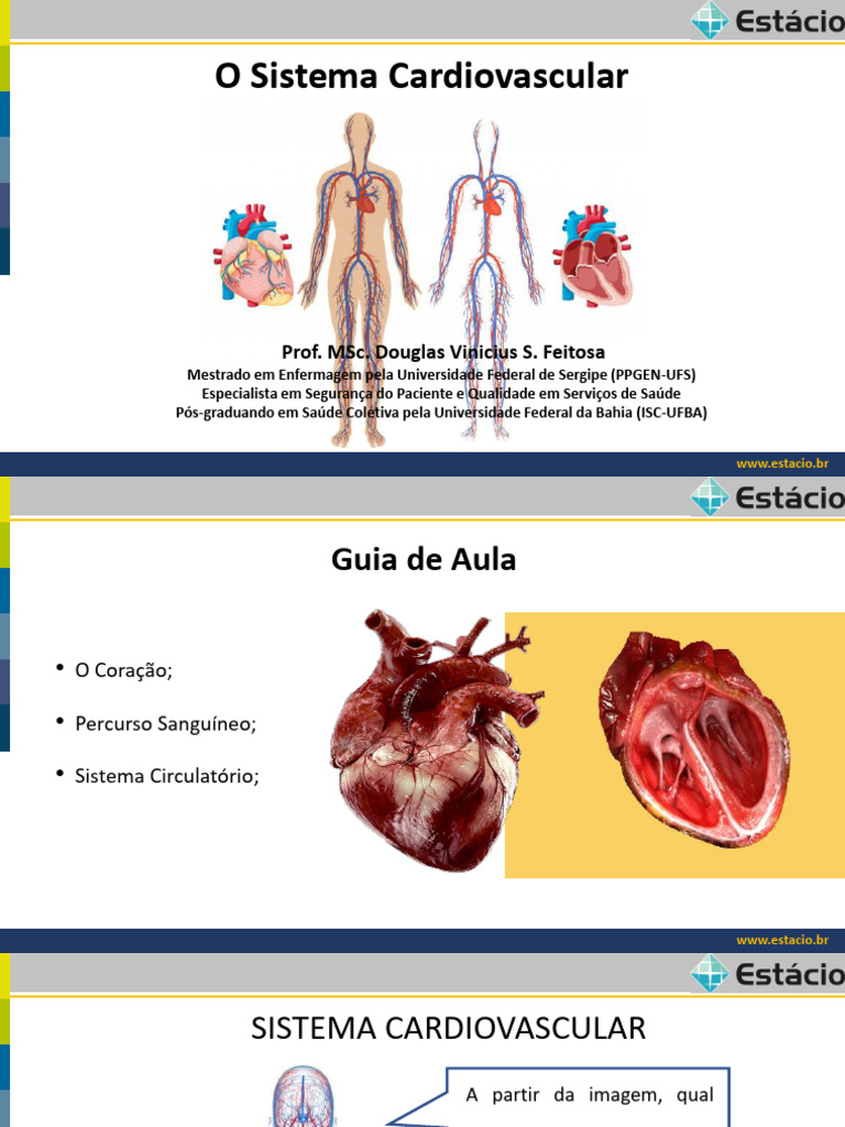 Aula 4 - Anatomia Do Sistema Cardiovascular | PDF