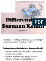 2a. Differensiasi Susunan Kemih