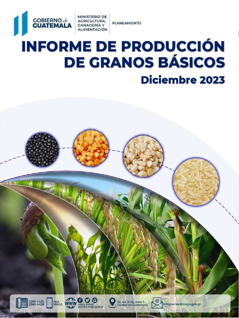 Informe de Producción de Granos Básicos Diciembre 2023 | PDF