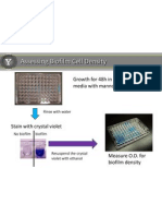 Assessing Biofilm Cell Density