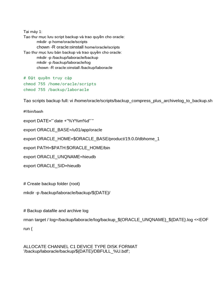 Backup Full | PDF