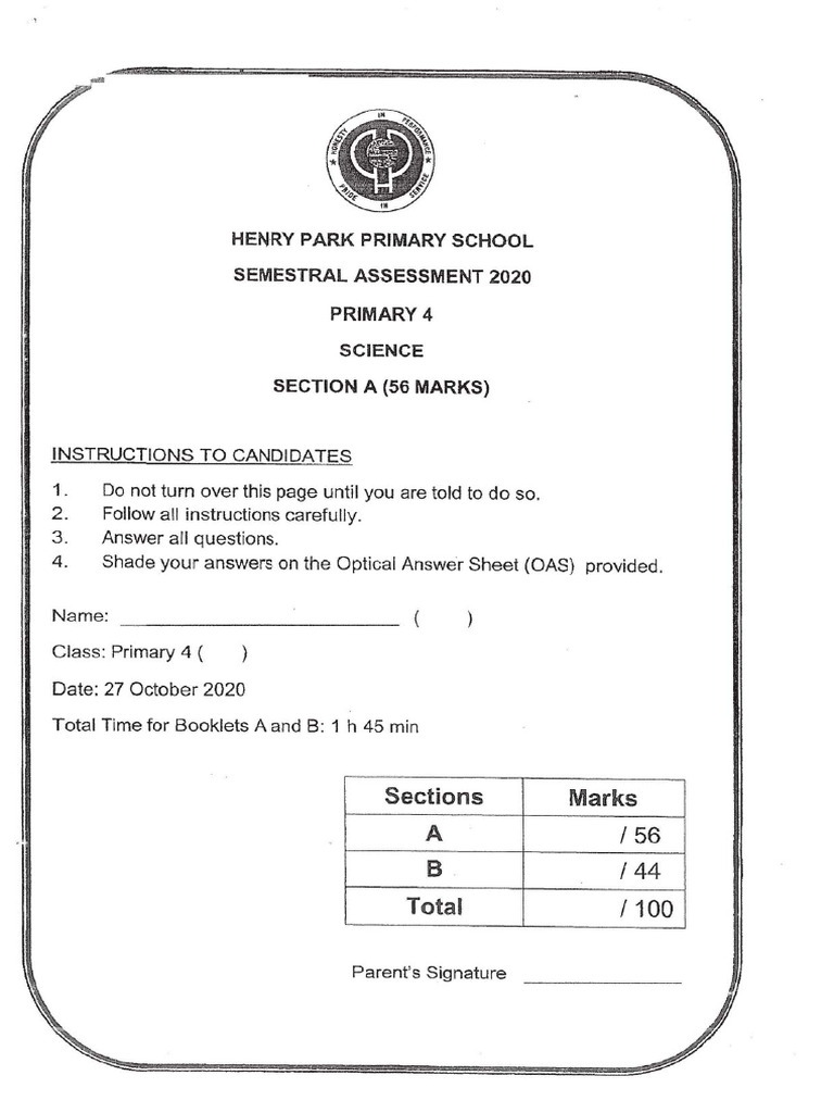 P4 Scie | PDF