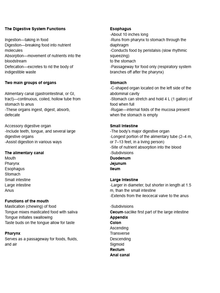 Digestive System | PDF