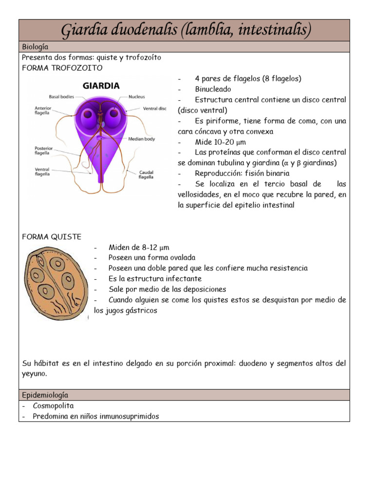 Giardia Duodenalis | PDF