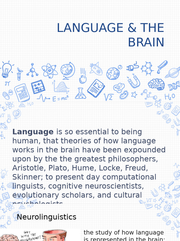 Language & The Brain | PDF