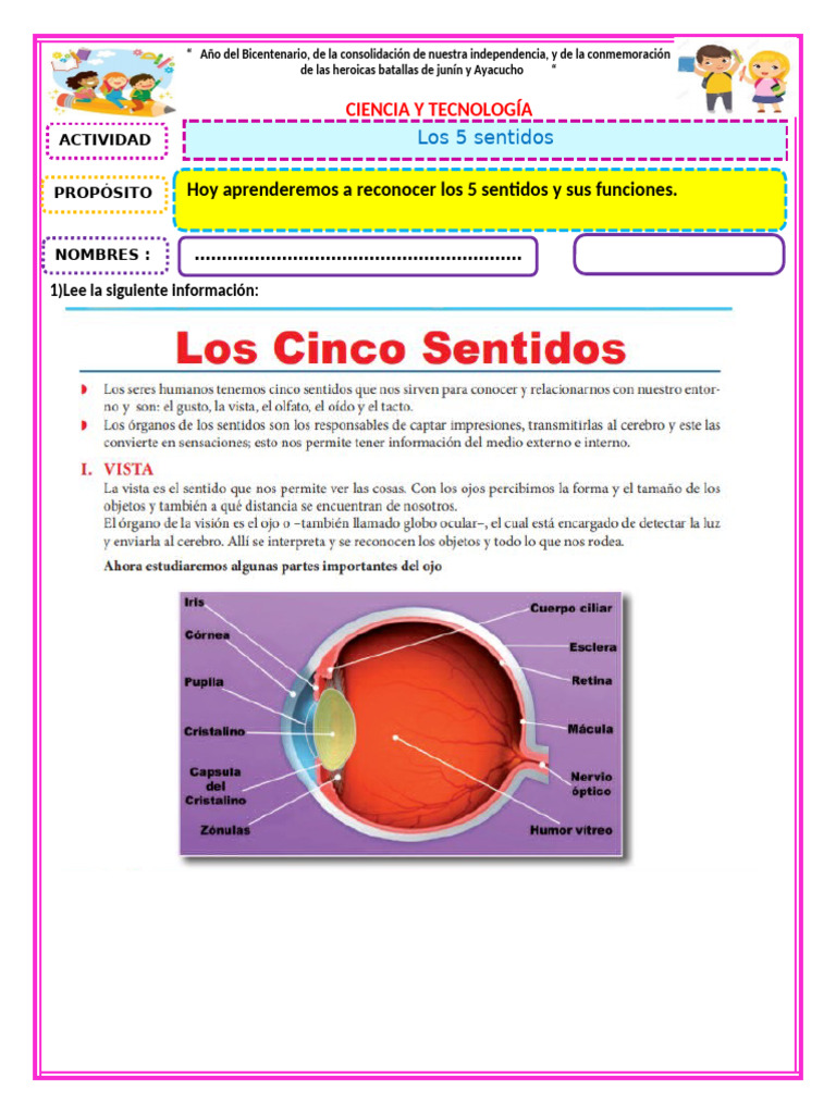 Ficha de Ciencia - Los 5 Sentidos | PDF