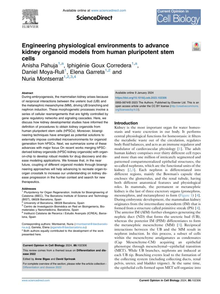 08-Engineering Physiological Environments To Advance Kidney Organoid ...