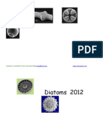 Diatom Calendar 2012