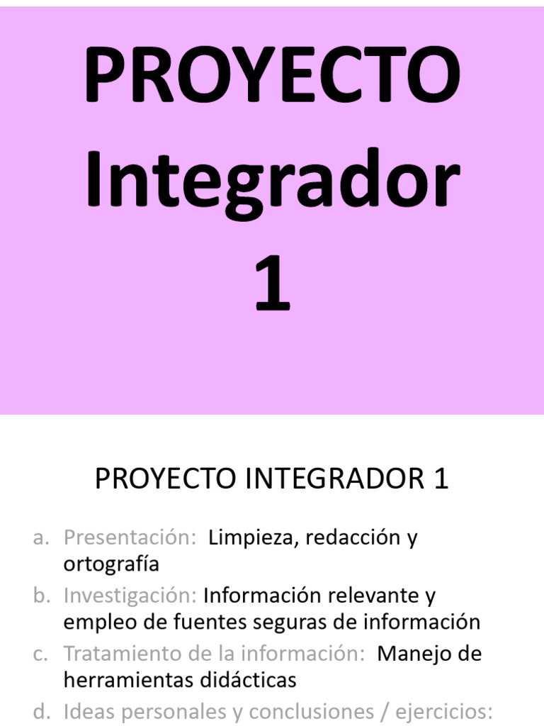 Proyecto Integrador 1 | PDF