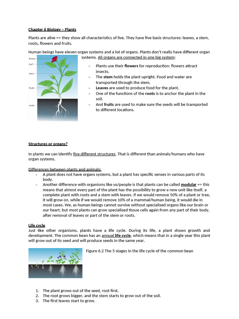 Plant Structure and Functions | PDF | Flowers | Pollination