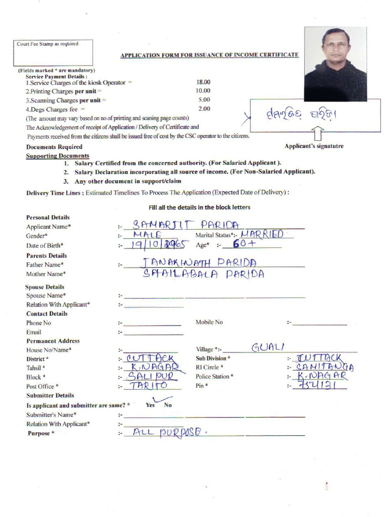 Income Form | PDF