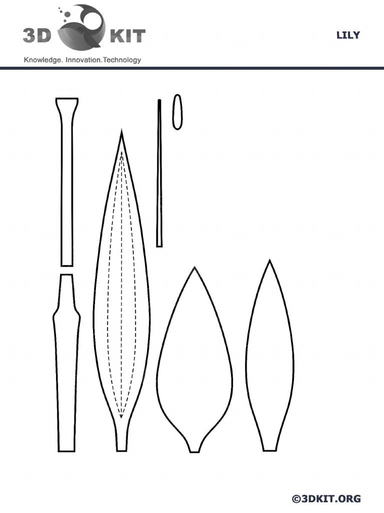 0372 Lily PDF Template | PDF