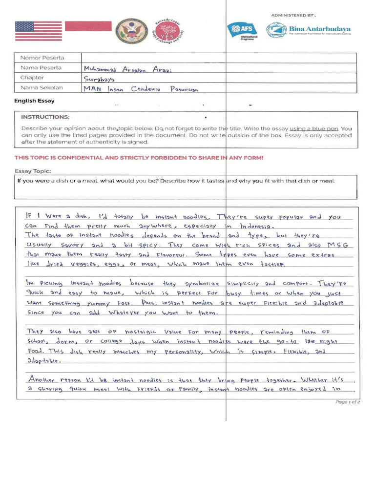 Essay | PDF