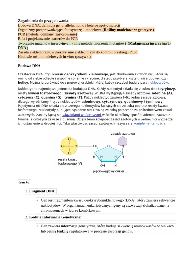CW1 | PDF