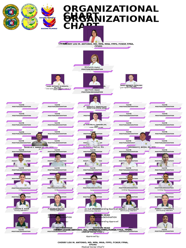 Org Chart Soft | PDF
